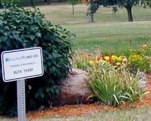 adopt a flower bed